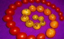 Tomaten